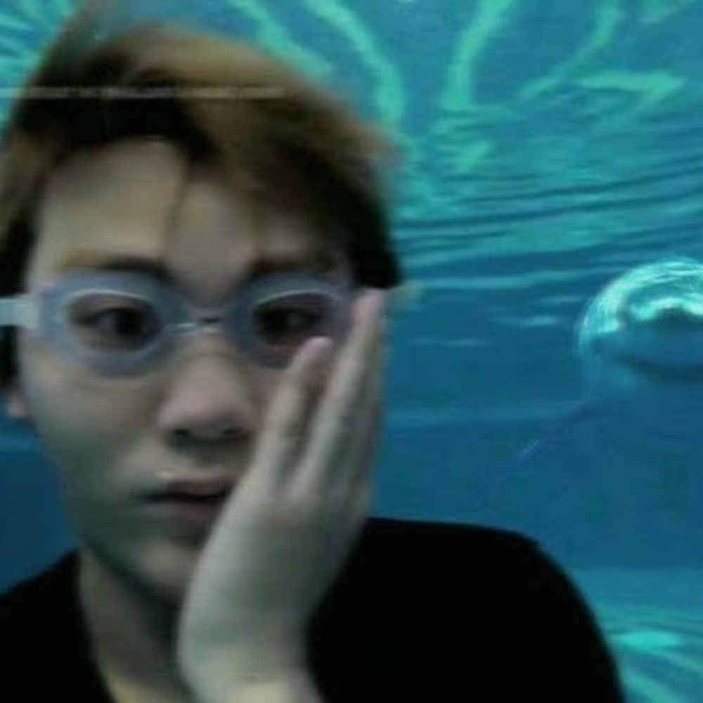 Meet your Posher, Thaopls